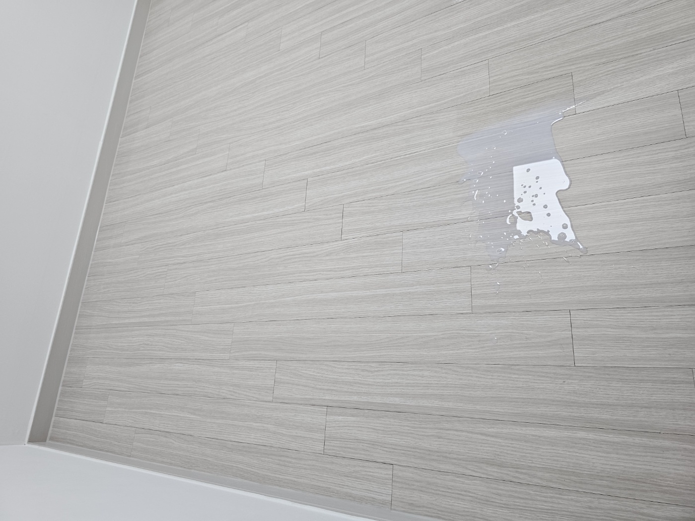 /user/c/clean/editor/2408/66fdc2f5bab98861537daf13ba017b41_1722850725_6516.jpg 이미지크게보기
