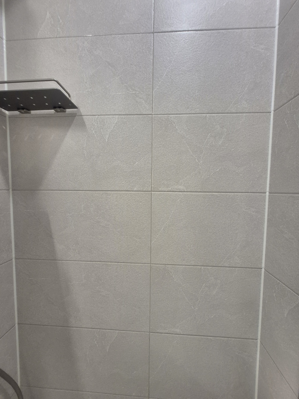 /user/c/clean/editor/2508/eadc06153a03a7f6aaedc2829f600c3e_1756190668_9596.jpg 이미지크게보기